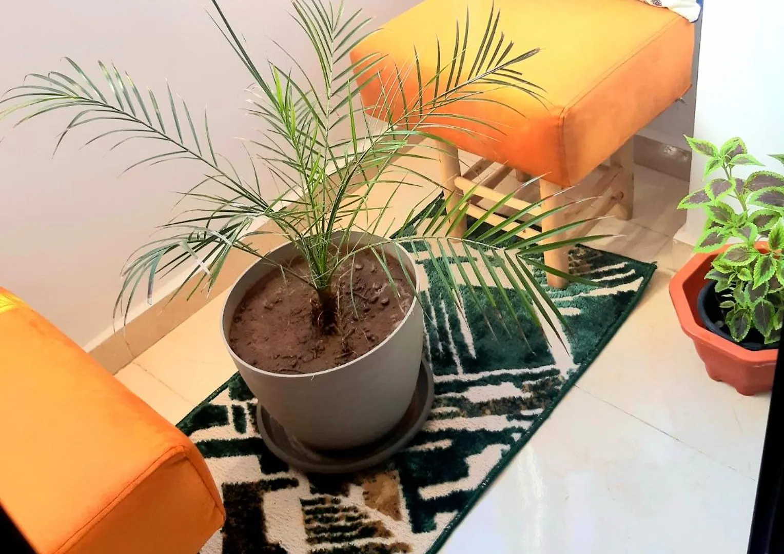 Apartment Cozy Appartement Marrakesch